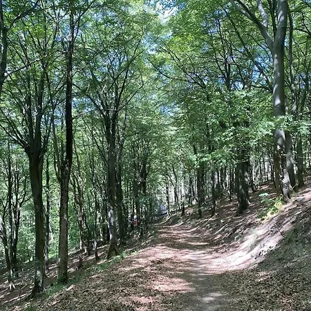 With 2 Bedrooms Casa de Férias *