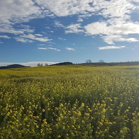 With 2 Bedrooms Casa de Férias *