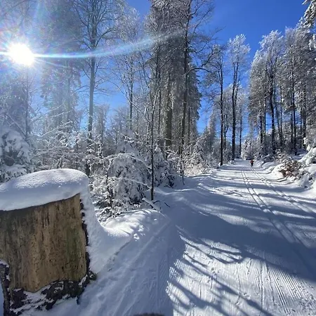 With 2 Bedrooms Casa de Férias Winterberg